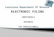 ELECTRONIC FILING INDIVIDUALS BUSINESS TAX PROFESSIONALS