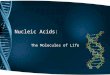 Nucleic Acids: The Molecules of Life. DNA and RNA Both are polymers. They are made up of monomers called nucleotides