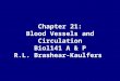 Chapter 21: Blood Vessels and Circulation Biol141 A & P R.L. Brashear-Kaulfers