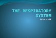 Lesson 04. Overview of the Respiratory System Primary Functions Gas exchange, carries oxygen into body and excels carbon dioxide Provides oxygen to body