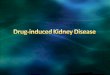 The kidney maintains the vital functions of clearing excess body fluid and removing metabolic and exogenous toxins from the blood The kidney is particularly