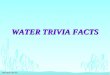 WATER FACTS WATER TRIVIA FACTS. WATER FACTS n HOW MUCH WATER DOES IT TAKE TO PROCESS A QUARTER POUND OF HAMBURGER?