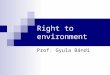 Right to environment Prof. Gyula Bándi. Ethical foundations Common good,protecting the life, Well-being creation, human stewardship dignity, human rights