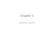 Chapter 5 Sections 1 and 2. Important Terminology Epi- : Inter- : Os- : Pseud- : Squam- : Strat- : Chondro : -cyte : Simple: