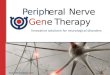 1 Peripher a alNerve GeneTherapy Periph Gen Innovative solutions for neurological disorders 