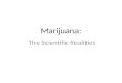 Marijuana: The Scientific Realities. Myths and Misconceptions: the Hippies 1.Marijuana is a natural plant. 2.Marijuana is harmless to humans. 3.Marijuana