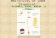 Mechanisms of Seed Dispersal: Pacific Union College (2007). Pacific Union College. Retrieved January 23, 2007, from Botany Glossary Web site: 