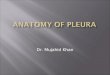 Dr. Mujahid Khan.  The pleurae and lungs lie on either side of the mediastinum within the chest cavity  Each pleura has two parts:  Parietal layer