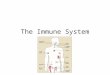 The Immune System. Lines of Defense 1. Skin and mucous membranes 2.Celia in respiratory system 3.Fever 4.Mechanical actions (coughing,sneezing,etc.) 5.White