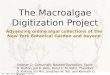 The New York Botanical Garden The Macroalgae Digitization Project Advancing online algal collections at the New York Botanical Garden and beyond Stephen