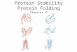 Protein Stability Protein Folding Chapter 6. Protein Stability Protein stability is the net balance of forces, which determine whether a protein will