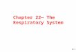 Chapter 22— The Respiratory System 22-1. Ch. 22 (Respiratory Sys.) Study Guide 1.Critically read Chapter 22 pp. 864-886 right before 22.3 “Gas Exchange