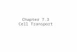 Chapter 7.3 Cell Transport. Warm-Up What do you know so far about the cell membrane? What do you want to know about the cell membrane?