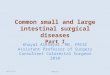 Common small and large intestinal surgical diseases Part I Khayal AlKhayal, MD, FRCSC Assistant Professor of Surgery Consultant Colorectal Surgeon 2010
