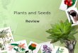 Plants and Seeds Review. The parts of a plant include: Roots, stem, leaves, seeds Roots, stem, water, leaves Stem, leaves, flowers, pollen Roots, stem,