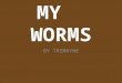 BY TREMAYNE. What do worms look like? Well they are pink, slimy, soft and dived into rings called segments