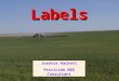 Labels Josette Hackett Pesticide R&D Consultant. BEFORE you BUY What Safety Equipment will you need ?