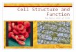 Cell Structure and Function The Basic Unit of Life