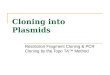 Cloning into Plasmids Restriction Fragment Cloning & PCR Cloning by the Topo TA™ Method