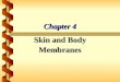 Chapter 4 Skin and Body Membranes. Skin and Body Membranes ï‚· Function of body membranes ï‚· Line or cover body surfaces ï‚· Protect body surfaces ï‚· Lubricate