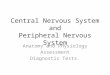 Central Nervous System and Peripheral Nervous System Anatomy and Physiology Assessment Diagnostic Tests