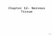 Chapter 12– Nervous Tissue 12-1. 6-2 Ch. 12 Nervous Tissue– Study Guide 1.Critically read Chapter 12 pp. 442-461 before 12.5 Synapses. 2.Comprehend Terminology