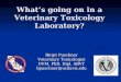 What’s going on in a Veterinary Toxicology Laboratory? Birgit Puschner Veterinary Toxicologist DVM, PhD, Dipl. ABVT bpuschner@ucdavis.edu