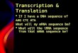 Transcription & Translation  If I have a DNA sequence of AAG CTC ATA What will my mRNA sequence be?  What will the tRNA sequence from that mRNA sequence