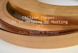 Chilean Copper: Is it Helping or Hurting us? Eric Mason & Stacey Cherukara