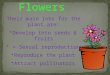 Flowers Their main jobs for the plant are: Develop into seeds & fruits = Sexual reproduction Reproduce the plant Attract pollinators
