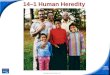 Slide 1 of 43 Copyright Pearson Prentice Hall 14–1 Human Heredity 14-1 Human Heredity