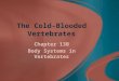 The Cold-Blooded Vertebrates Chapter 13B Body Systems in Vertebrates