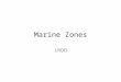 Marine Zones iNOB. Four Zones of a Marine Ecosystem 1.Intertidal 2. Neritic 3. Oceanic 4. Benthic