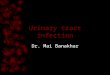 Urinary tract infection Dr. Mai Banakhar. UTI inflammatory response of urothelium to bacterial invasion