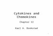 Cytokines and Chemokines Chapter 12 Karl A. Brokstad 1