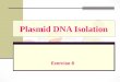 Plasmid DNA Isolation Exercise 8. Experiment Goals Extraction of plasmid DNA from E. Coli Analyze plasmid DNA by agarose gel electrophoresis and spectrophotometer