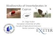 Biodiversity of Invertebrates in Cyprus Dr. Ozge Ozden European University of Lefke Faculty of Agricultural Sciences Senior Lecturer