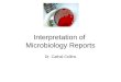 Interpretation of Microbiology Reports Dr. Cathal Collins