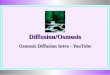 Diffusion/Osmosis Osmosis Diffusion Intro - YouTube Osmosis Diffusion Intro - YouTube