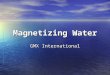 Magnetizing Water GMX International. The Problem: Scale and Calcium Build up