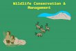 Wildlife Conservation & Management. Key Topics Wildlife Conservation Management & Conservation Principles