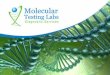 Who Are We? Molecular Testing Labs is a cutting-edge molecular and genetics testing laboratory focused on pharmacogenomics, also called Personalized Medicine