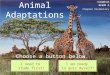 Animal Adaptations I need to study first! I am ready to quiz myself! Choose a button below. Grade 4 Chapter Vocabulary I need to study first! I am ready