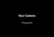 Your Camera Megapixels. SLR Lens ISO Shutter speed Aperture