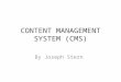 CONTENT MANAGEMENT SYSTEM (CMS) By Joseph Stern. Are Custom Coded Websites Dead?