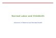 Normal Labor and Childbirth Advances in Maternal and Neonatal Health