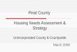 Pinal County Housing Needs Assessment & Strategy Unincorporated County & Countywide March 2008