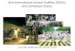 Non-international Armed Conflicts (NIACs) and Combatant Status Cecilie Hellestveit NCHR/UiO