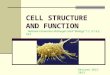 CELL STRUCTURE AND FUNCTION Textbook Connection McDougal Littell “Biology” 1.1, 3.1-3.2, 18.5 Revised 2012-2013