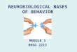 NEUROBIOLOGICAL BASES OF BEHAVIOR MODULE 1 RNSG 2213